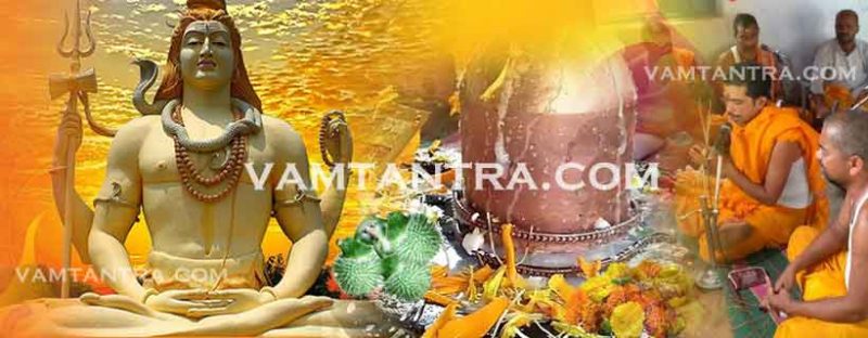 Rudrabhishek or Rudrabhishekam Puja and Its Significance